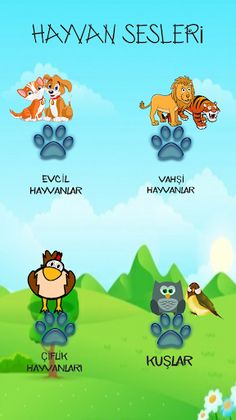 Eğitici Ve Öğretici Hayvan Ses - Screenshot 2