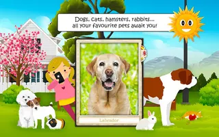 Find Them All: Cats, Dogs and - Screenshot 1