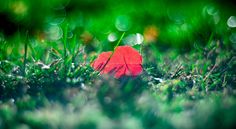 Quiet estuaries - Screenshot 4