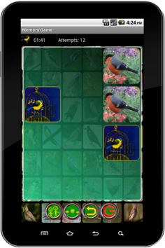 True Birds Memory Game - Screenshot 3