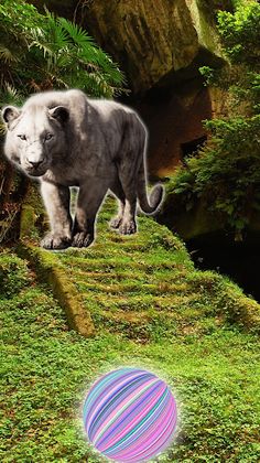 Catch beasts! - Screenshot 2