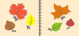 Kids Camping. Tourist vacation - Screenshot 3