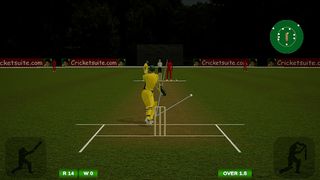 Cricket Batsman - Screenshot 1