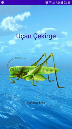 Uçan Çekirge - Screenshot 1
