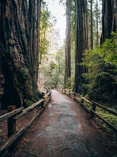 Towering mesas - Screenshot 3