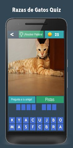 Razas de Gatos Quiz 2021 - Screenshot 2