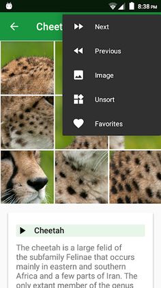 Cats Puzzle - Screenshot 4