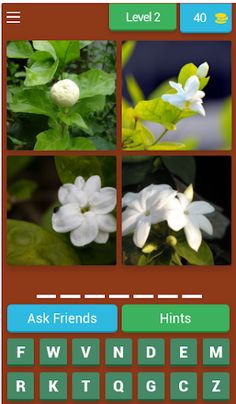 Flower names Quiz - Screenshot 3