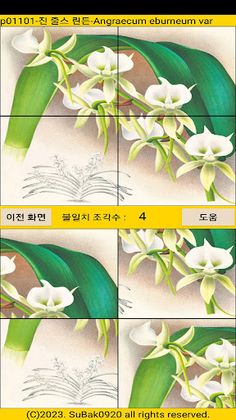 ttpuzzle11 - Screenshot 3