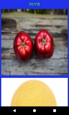 ללמוד אנגלית בכיף עם אריאל - Screenshot 4