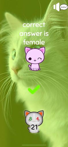 Cat's Nerd - Screenshot 4