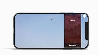 Αναγνώριση πτηνών - Screenshot 2