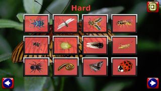 Kids Insect Jigsaw Puzzle - Screenshot 3