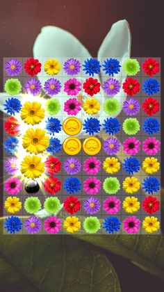 Flower Blast: Garden Blossom - Screenshot 2