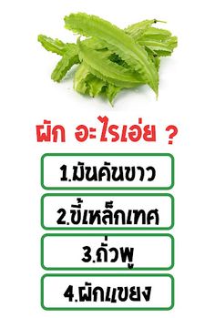 เกมทายชื่อผัก - Screenshot 3