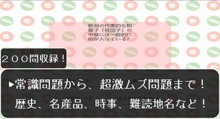 Niigata Round Game ~Nr1~ - Screenshot 2