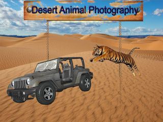 Desert Animal Photography - Screenshot 1