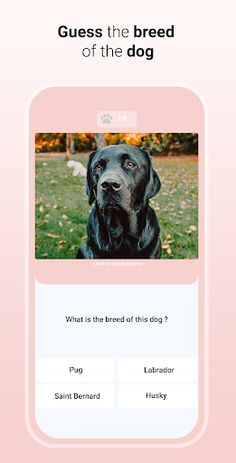 Quiz Dog - Guess the breed - Screenshot 2