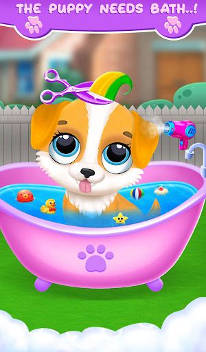 Labrador Puppy Pet DayCare - Screenshot 2