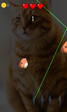 Feed The Chonks - Cat Feeding  - Screenshot 1