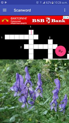 Scanword - Screenshot 2