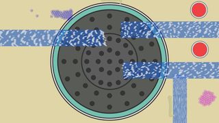 Foam Matchmaking - Screenshot 3