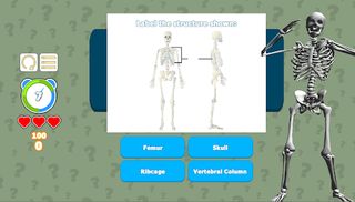 Know Your Skeleton Quiz Game - Screenshot 1