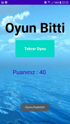 Uçan Çekirge - Screenshot 4