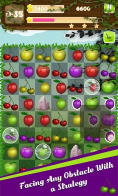 Fruits & Various - Screenshot 3