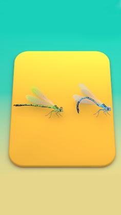 Amber Craft - Screenshot 1