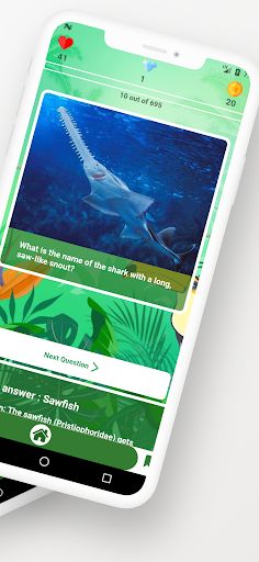 Animal Quiz - Screenshot 2