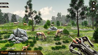 Deer Hunting Games Wild Animal - Screenshot 2