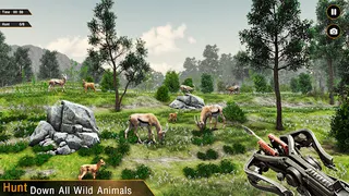 Deer Hunting Games Wild Animal - Screenshot 2