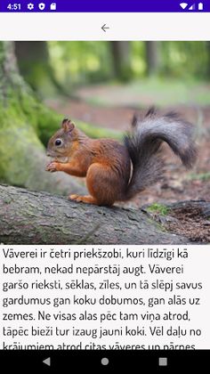 AtverSparnusLidojumamKosam - Screenshot 3