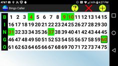 Bingo Caller - Screenshot 1