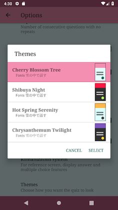 The Kana Quiz - Screenshot 4