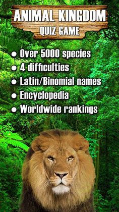 Animal Kingdom - Quiz Game - Screenshot 1