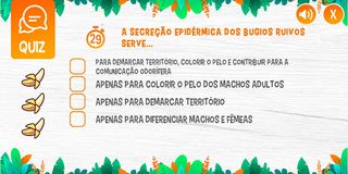 Macacadas - Screenshot 3