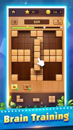 Wood Block Puzzle Games:Tetria - Screenshot 4