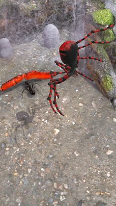 Earth Ants Calony - Screenshot 2
