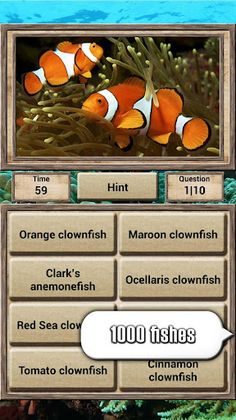Animal Kingdom - Quiz Game - Screenshot 4
