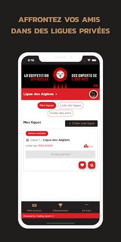 Ligue des Aiglons - Screenshot 3