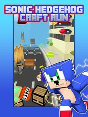 Run Hedgehog Run - Screenshot 1