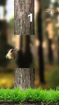 Так Блэт Bird Игра - Screenshot 2