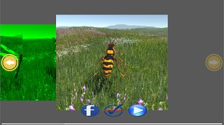 DragonFly - Screenshot 3