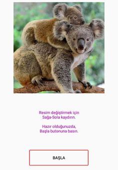 Puzzle - Animals - Screenshot 3