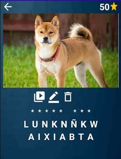 Adivina la raza del Perro - Screenshot 3