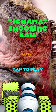 Iguana Shooting Ball - Screenshot 2