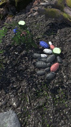 Roly-Poly Friends - Screenshot 2