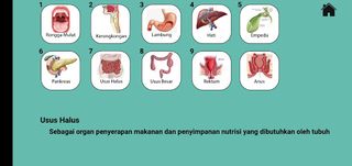 21st VIDOKI - Screenshot 2